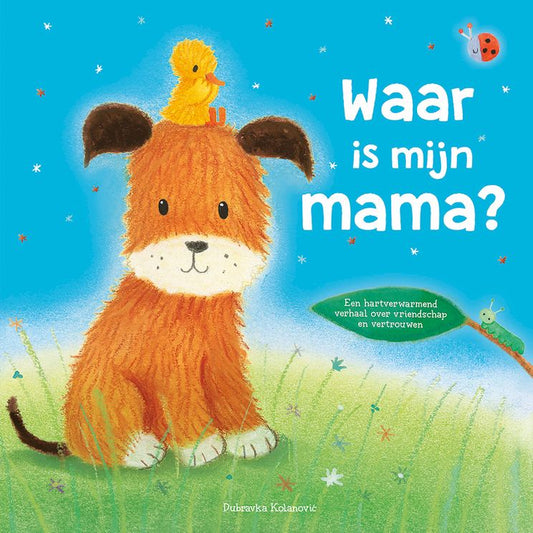 Waar is mijn mama?