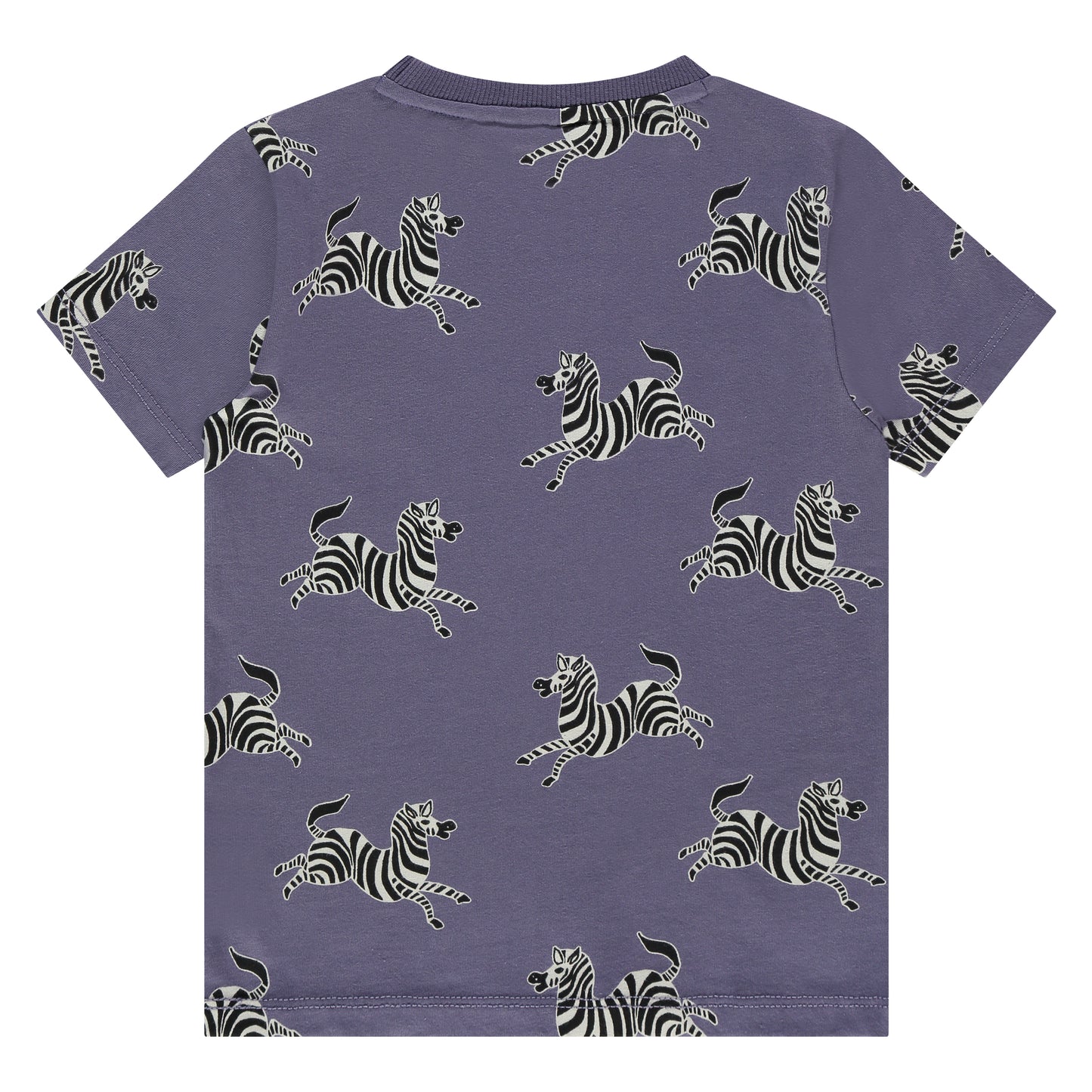Stains & Stories T-Shirt - Grape