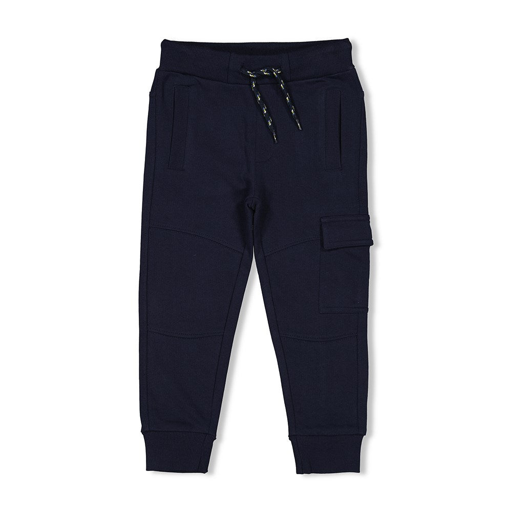 Sturdy - Cargo broek - Coastal Cool