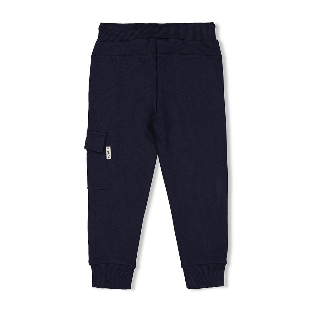 Sturdy - Cargo broek - Coastal Cool